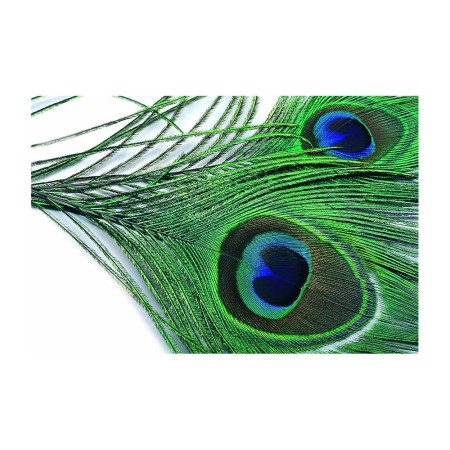 Peacock eye top